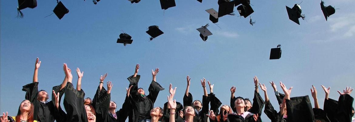 Immagine: degree_reference